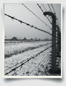 Essay on “Night” by Elie Wiesel