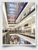 Essay on Shopping