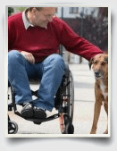 Disability Essays