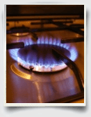 Essay on Gas