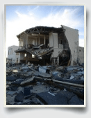 disaster management essay