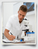 investigative essay