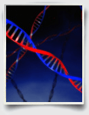 essays on stem cell research