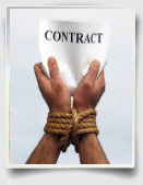 contract essay