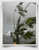 hurricane essays