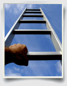 career objective essay