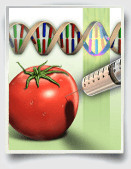 essays on genetic engineering