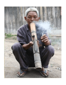 essay on smoking