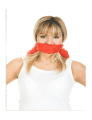 essays on the freedom of speech