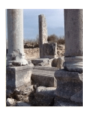 archaeology essay