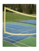 essay on volleyball