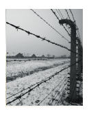 essay on “Night” by Elie Wiesel