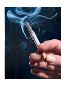 essays about smoking
