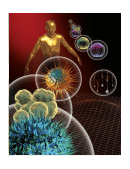 stem cell research paper