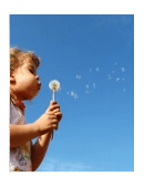 Laws of Life Essay Contest