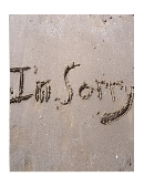 apology essay