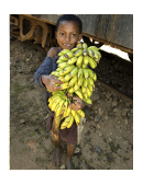 paper on child labor