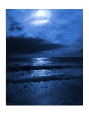 essay on night