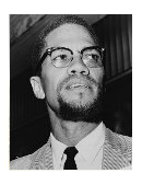 essay on Malcolm X