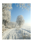 Winter - Wikipedia, the free encyclopedia