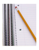 essay length