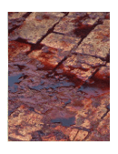 essay on murder