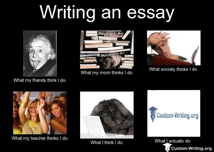 College admissions essay editing