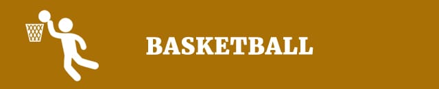 Basketball essay topics