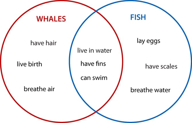 Compare and contrast essay venn diagram logo