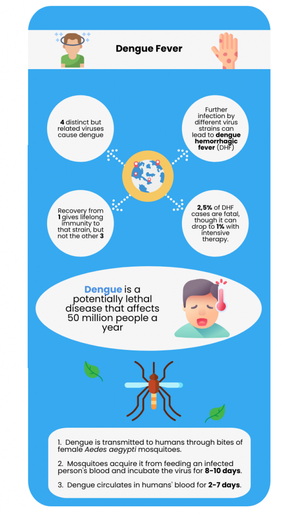 Dengue Fever Essay: How to Write Essay on Dengue Guide [2022 Update]