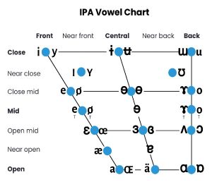 English Phonetic System & IPA: Phonetics Definition and Examples