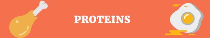 Proteins (tips for eating healthy in college).