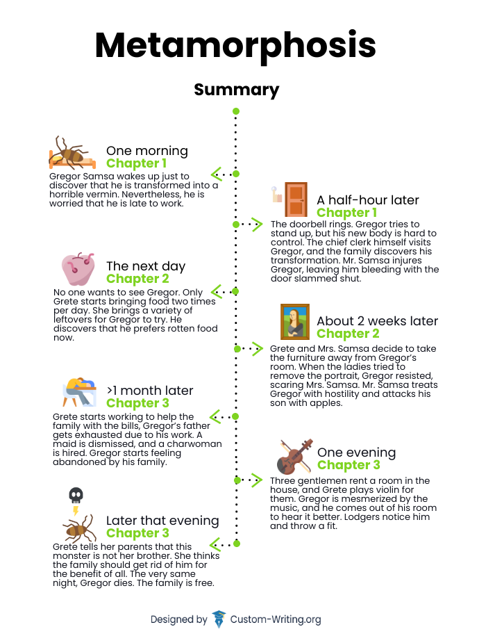 The Metamorphosis summary and timeline.