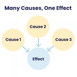 how to write essay 4 paragraph