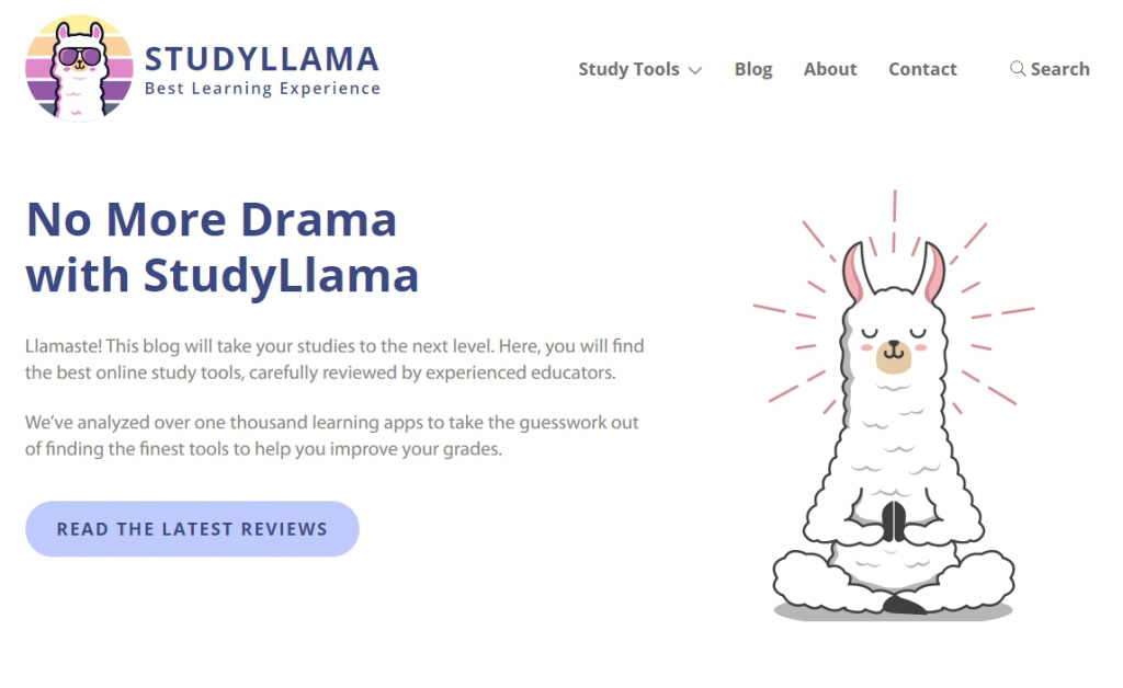 StudyLlama review.