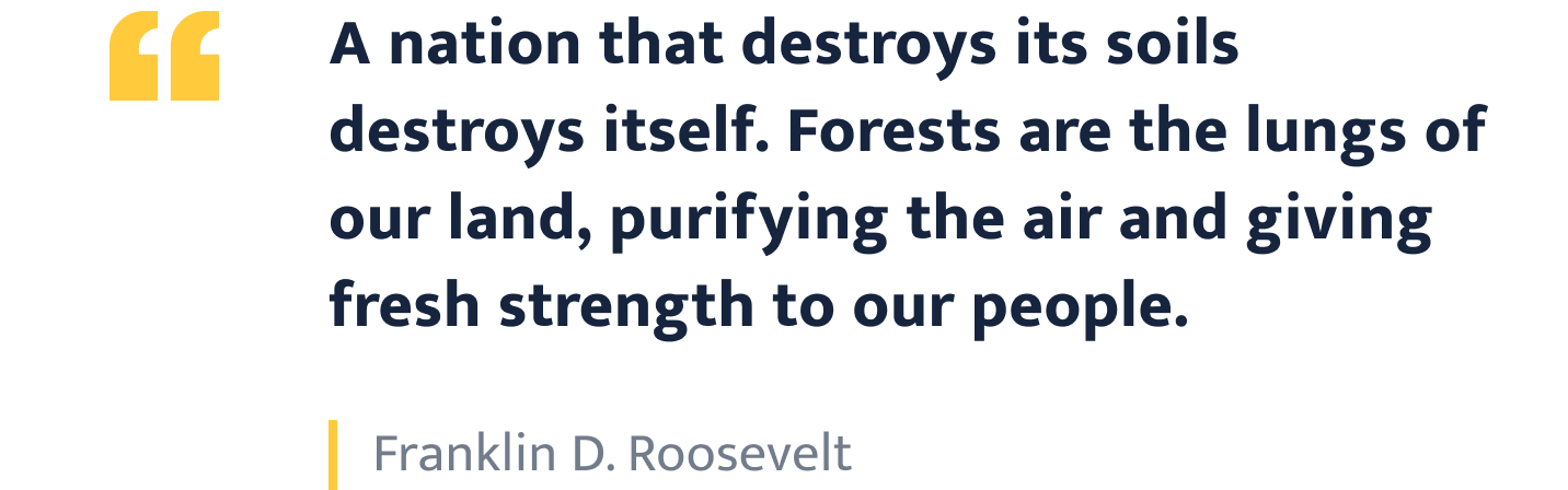 Franklin Roosevelt quote.