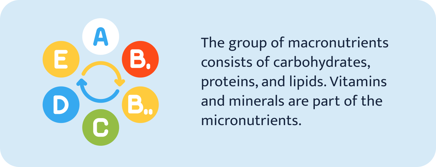 What the group of macronutrients consists.