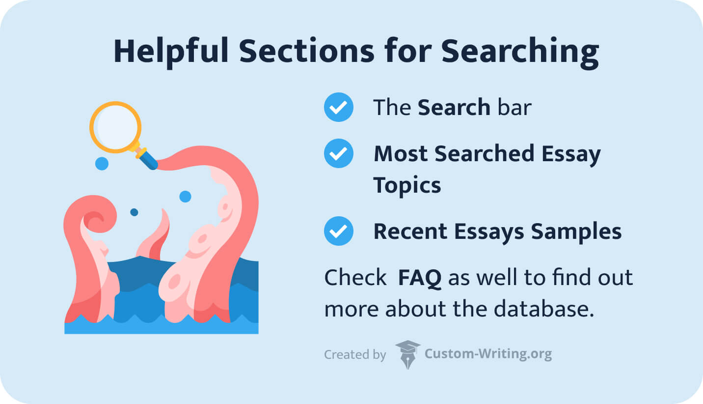 StudyKraken's sections for searching.
