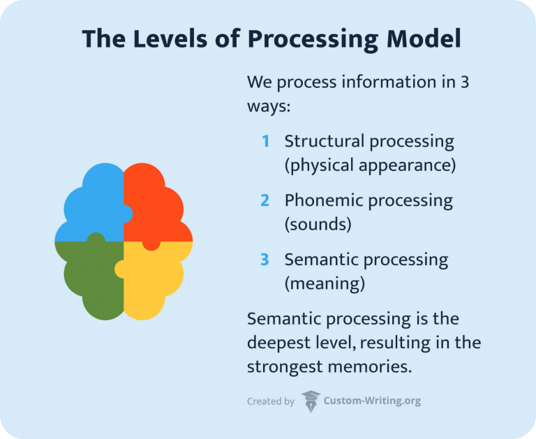 Information Processing Theory: What It Is and How It Can Enhance Learning