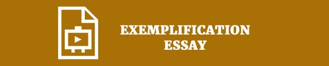 Show me example exemplification essay