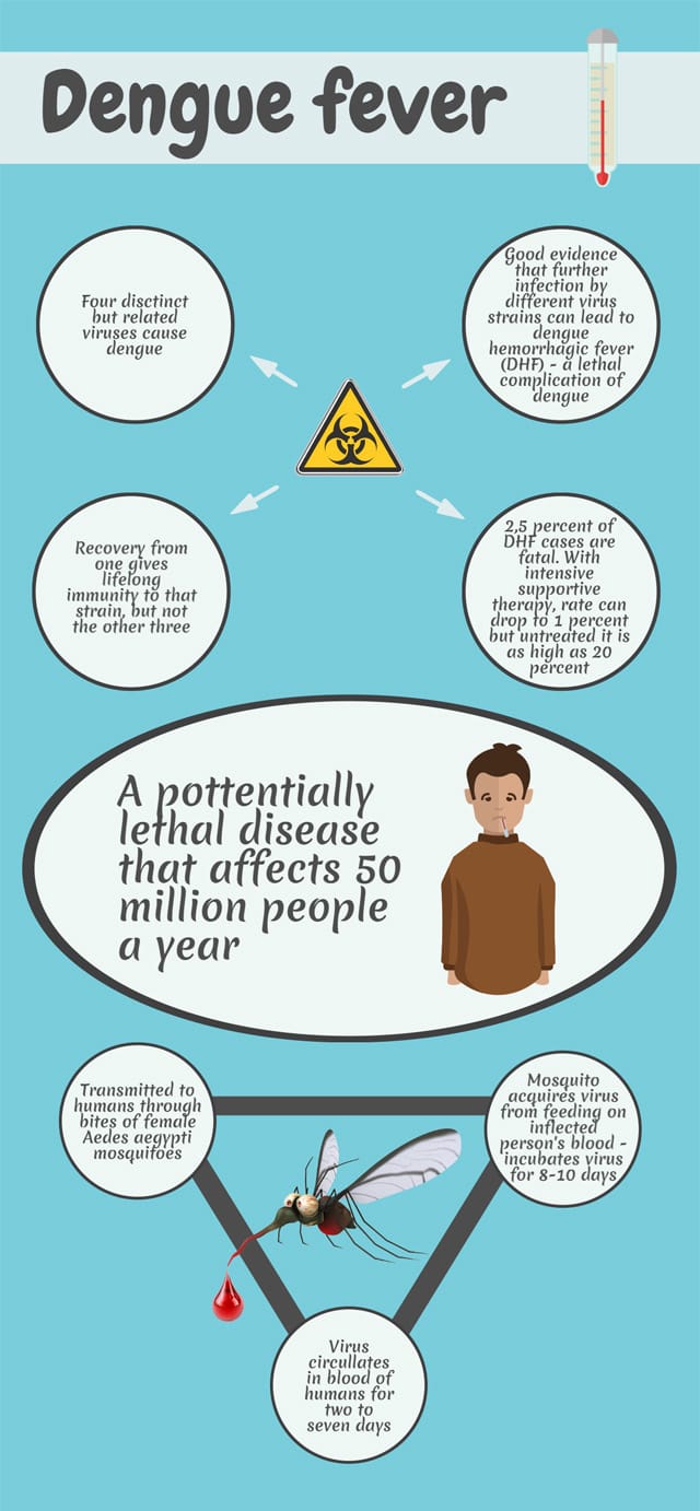 dengue essay in english for class 7