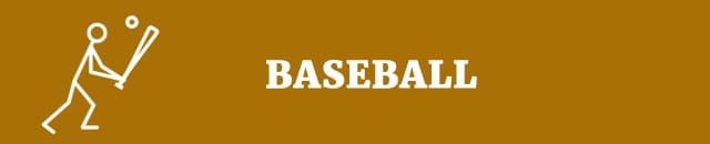 persuasive speech topics baseball