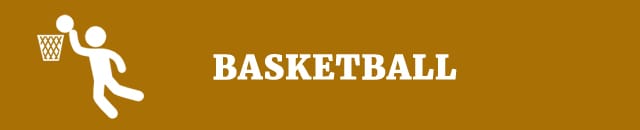 Sample research paper about basketball