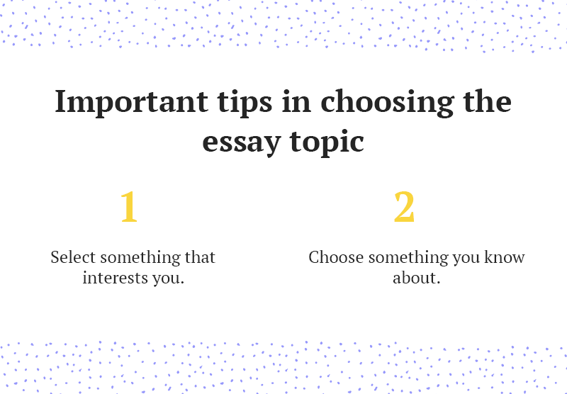 Website to write essay for you every college