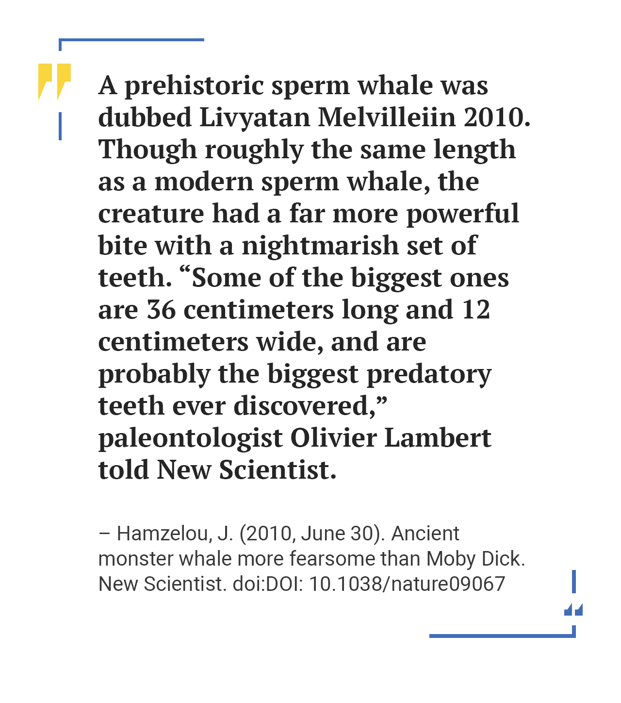 Hamzelou, J. (2010, June 30). Ancient monster whale more fearsome than Moby Dick.