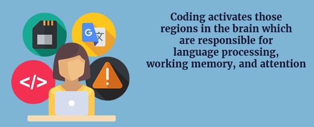 left-brain-vs-right-brain-coding