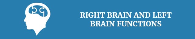 left-brain-vs-right-brain-right-brain-and-left-brain-functions