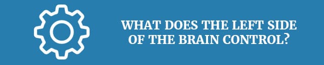 left-brain-vs-right-brain-what-does-the-left-side-of-the-brain-control