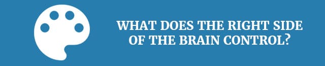 left-brain-vs-right-brain-what-does-the-right-side-of-the-brain-control