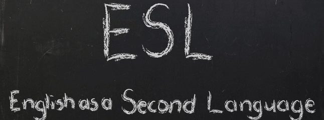 Custom Writing Service Blog